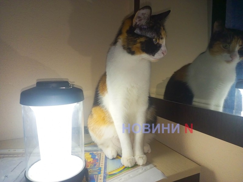 Массовые отключения света запланированы на среду в Николаеве и области Массовые отключения света запланированы на среду в Николаеве и области