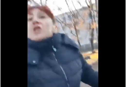 В Польше женщина напала на украинку с ребенком (видео) В Польше женщина напала на украинку с ребенком (видео)