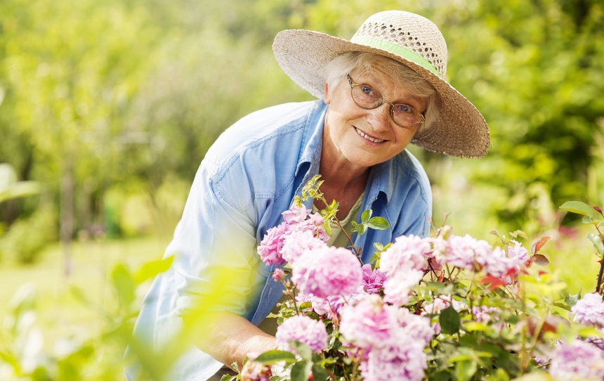 Пенсионное удостоверение нового образца: как получить и кто должен это сделать Пенсионное удостоверение нового образца: как получить и кто должен это сделать