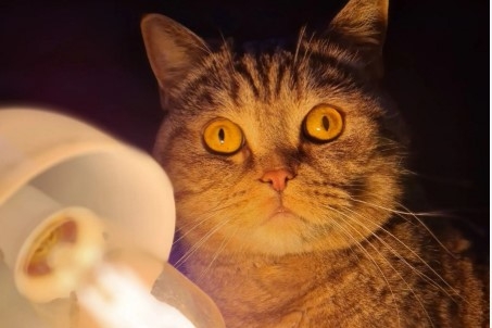 Світла у Миколаєві та області буде ще більше: графік на завтра оновили Світла у Миколаєві та області буде ще більше: графік на завтра оновили