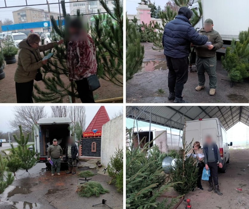 В Первомайске выявили незаконную торговлю новогодними ёлками В Первомайске выявили незаконную торговлю новогодними ёлками
