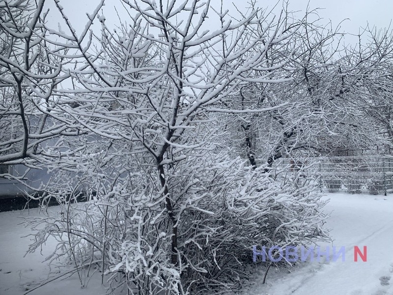 От +39,6°C в июле до -16,1°C в феврале: погодные рекорды в Николаевской области в 2025 году От +39,6°C в июле до -16,1°C в феврале: погодные рекорды в Николаевской области в 2025 году