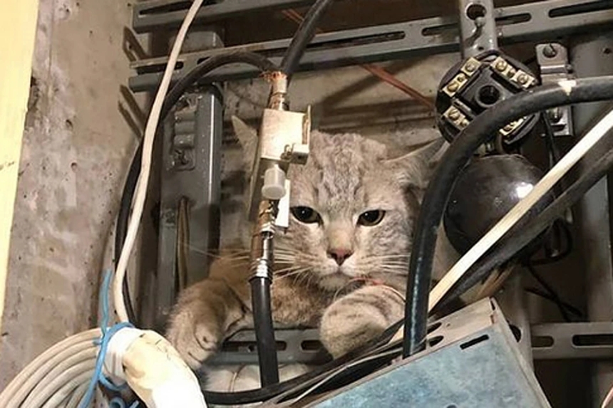 Графік відключень світла у Миколаєві та області на 6 січня Графік відключень світла у Миколаєві та області на 6 січня