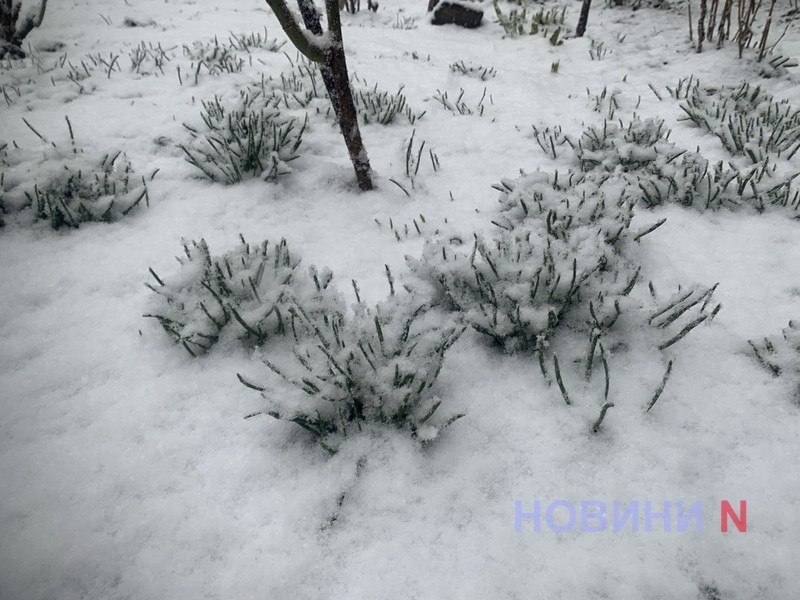 Миколаївська область готується до можливих ускладнень погоди, - Кім Миколаївська область готується до можливих ускладнень погоди, - Кім