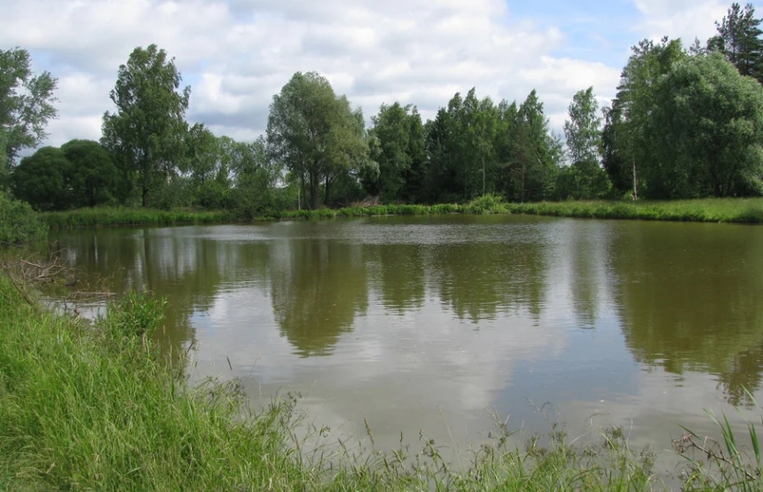 Водойма на місці сільгоспземлі: у Миколаївській області підприємцю загрожує до 5 років в'язниці Водойма на місці сільгоспземлі: у Миколаївській області підприємцю загрожує до 5 років в'язниці