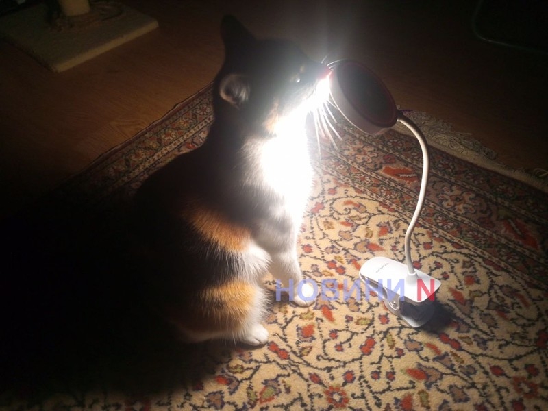 Ще дві години зі світлом: оновлений графік відключень у Миколаєві та області на сьогодні, 14 лютого Ще дві години зі світлом: оновлений графік відключень у Миколаєві та області на сьогодні, 14 лютого