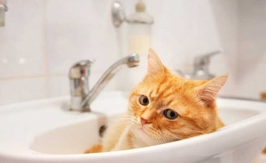 Целый микрорайон и некоторые улицы в Николаеве остались без воды (адреса) Целый микрорайон и некоторые улицы в Николаеве остались без воды (адреса)