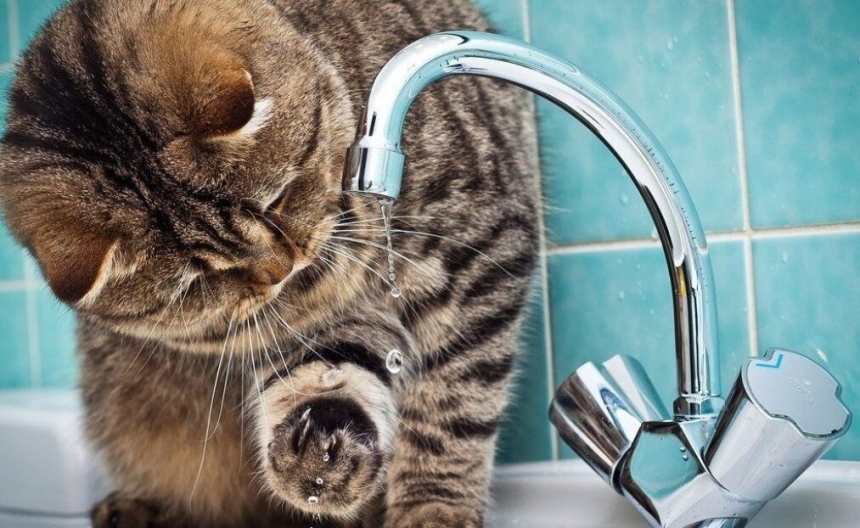 Часть улицы в центре Николаева осталась без воды Часть улицы в центре Николаева осталась без воды