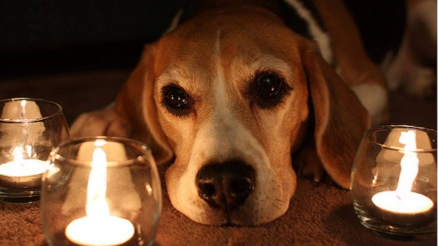 Плановые работы: как будут отключать свет в Николаеве и области 16 марта Плановые работы: как будут отключать свет в Николаеве и области 16 марта