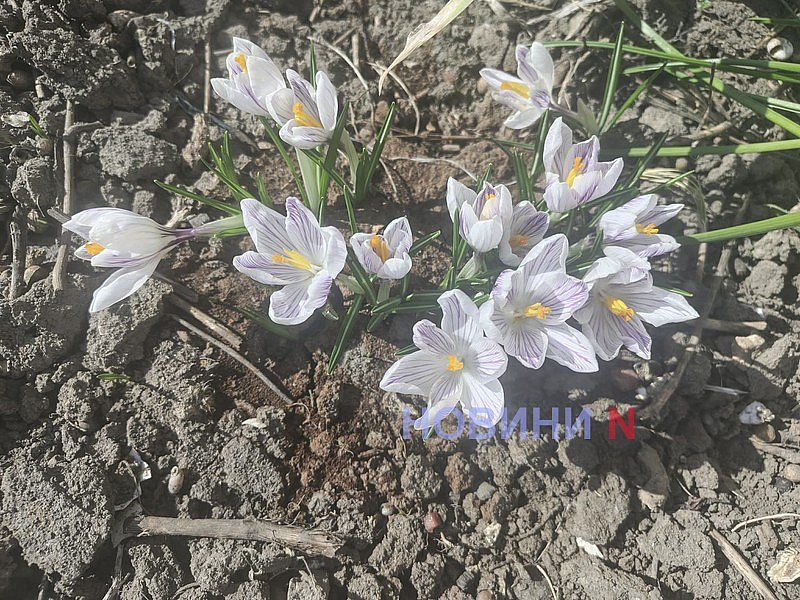 До +18° та сонячно: якою буде погода у Миколаєві та області у вівторок До +18° та сонячно: якою буде погода у Миколаєві та області у вівторок