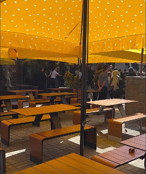 В Николаеве открыли McDonald's: горожане бегом ринулись в ресторан (видео) В Николаеве открыли McDonald's: горожане бегом ринулись в ресторан (видео)