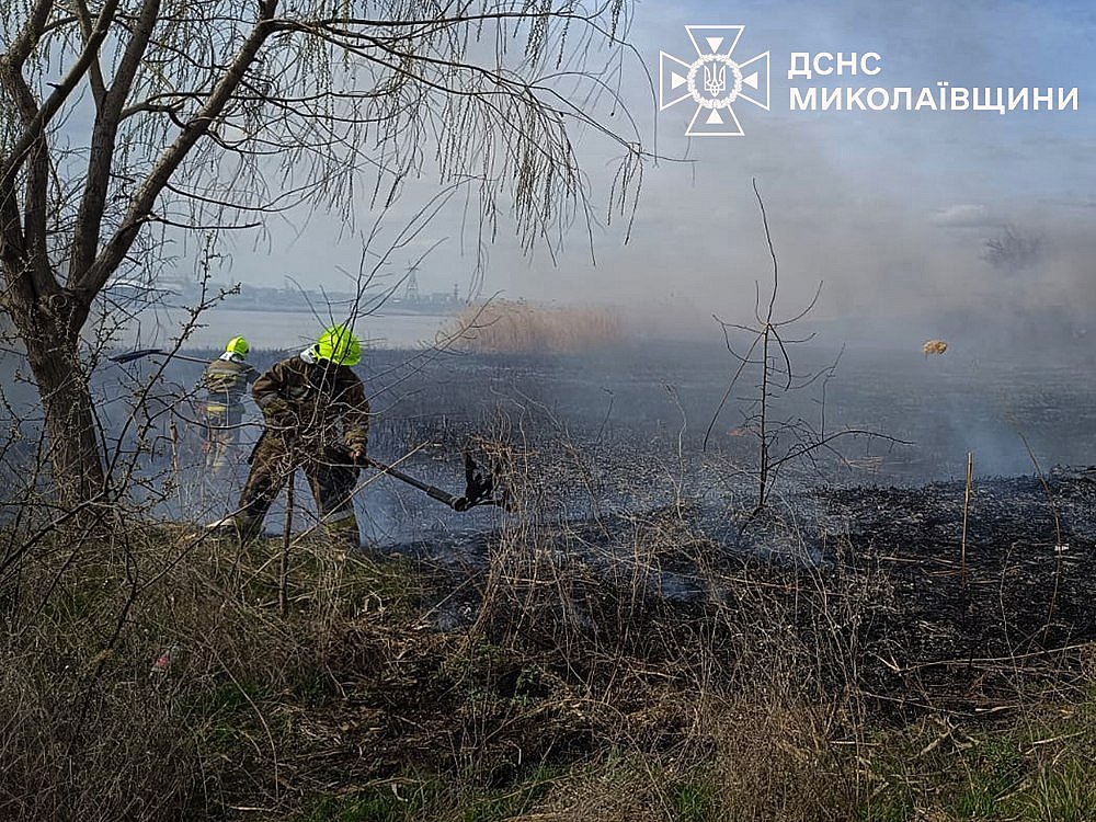 В Николаеве и области жители массово поджигают камыш В Николаеве и области жители массово поджигают камыш