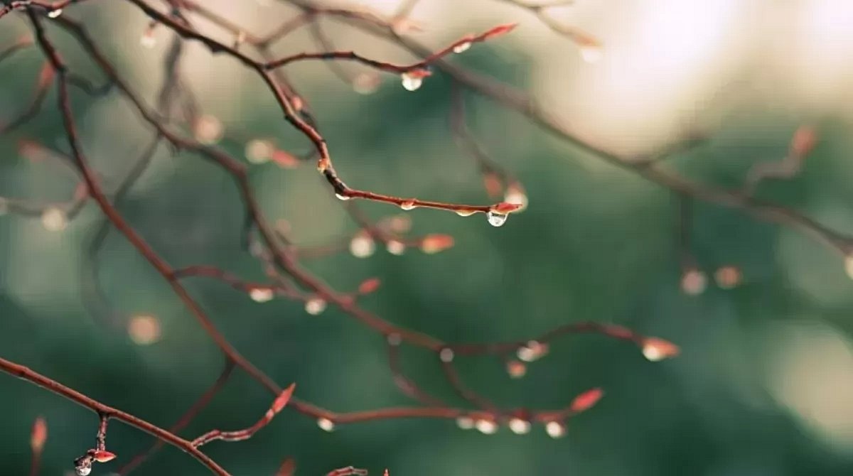 Какая погода будет в Николаеве и области во вторник Какая погода будет в Николаеве и области во вторник