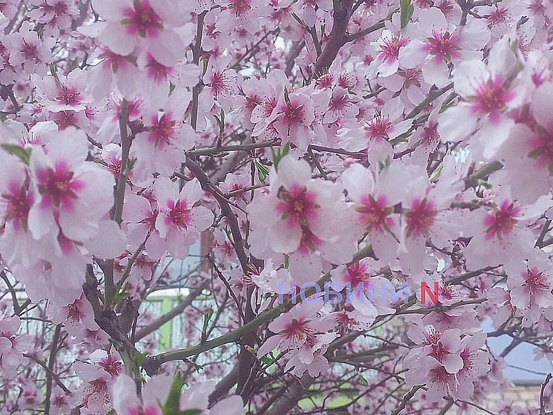 Какой будет погода в Николаеве и области в первый день апреля Какой будет погода в Николаеве и области в первый день апреля