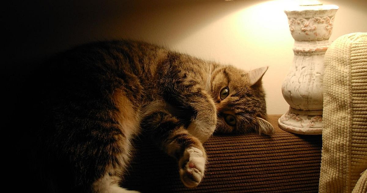 На Миколаївщині завтра відключень світла не буде На Миколаївщині завтра відключень світла не буде