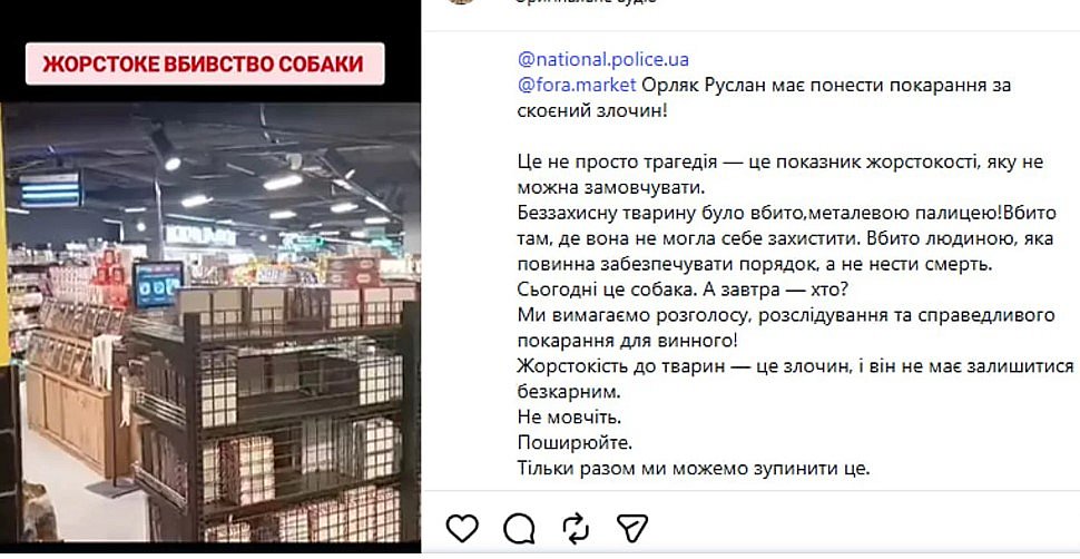 Охранник супермаркета забил металлической палкой собаку в Киевской области Охранник супермаркета забил металлической палкой собаку в Киевской области