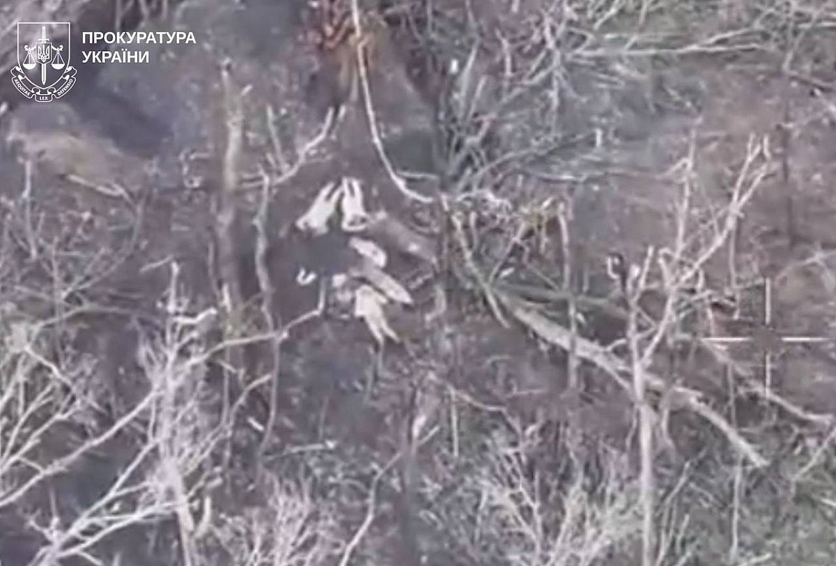 Россияне расстреляли четырех украинских военнопленных на Харьковщине Россияне расстреляли четырех украинских военнопленных на Харьковщине