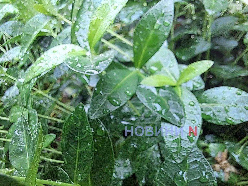 Синоптики розповіли, якою буде погода у Миколаєві та області у понеділок Синоптики розповіли, якою буде погода у Миколаєві та області у понеділок