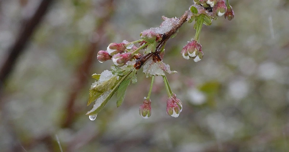 Фото ілюстраційне Фото ілюстраційне