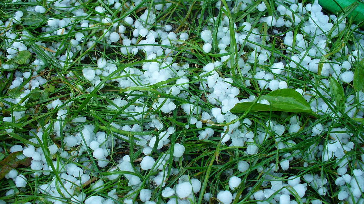 В Николаеве и области в ближайшие часы ожидается гроза и град, - Гидрометцентр В Николаеве и области в ближайшие часы ожидается гроза и град, - Гидрометцентр