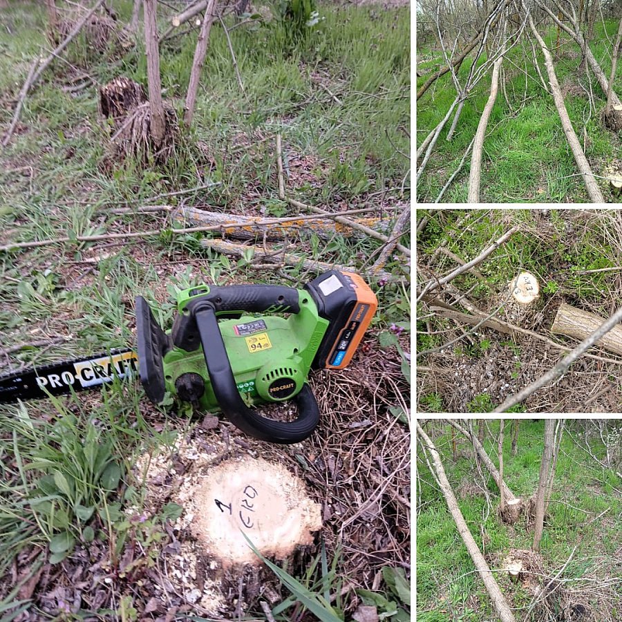 На Миколаївщині незаконно зрубали 9 акацій - призначено штраф На Миколаївщині незаконно зрубали 9 акацій - призначено штраф