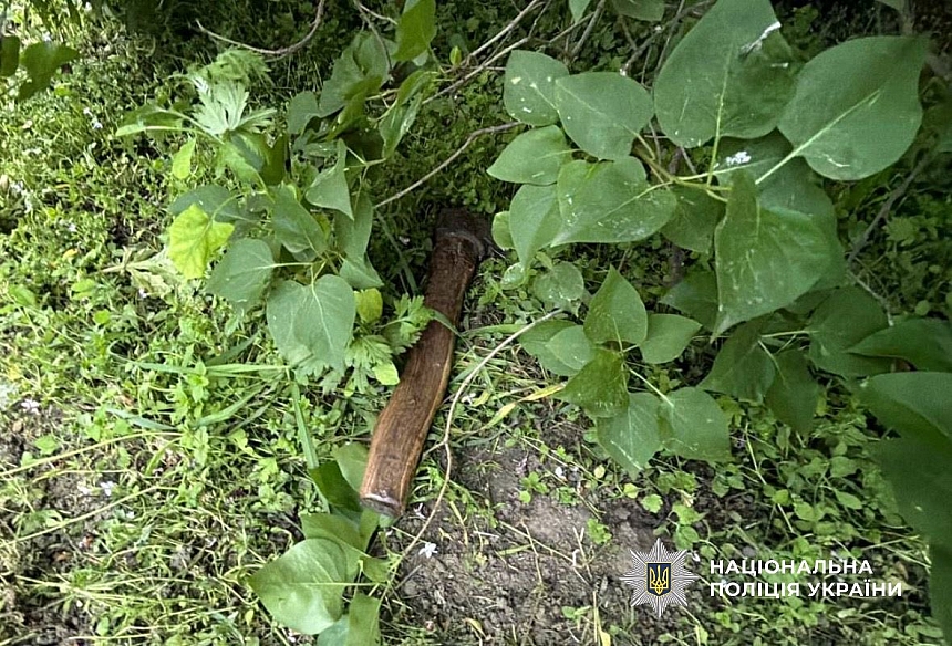 В Киевской области мужчина избил топором свою сестру В Киевской области мужчина избил топором свою сестру