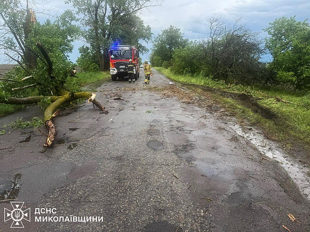 Негода на Миколаївщині: сильний вітер валив дерева, на місце виїжджали рятувальники Негода на Миколаївщині: сильний вітер валив дерева, на місце виїжджали рятувальники