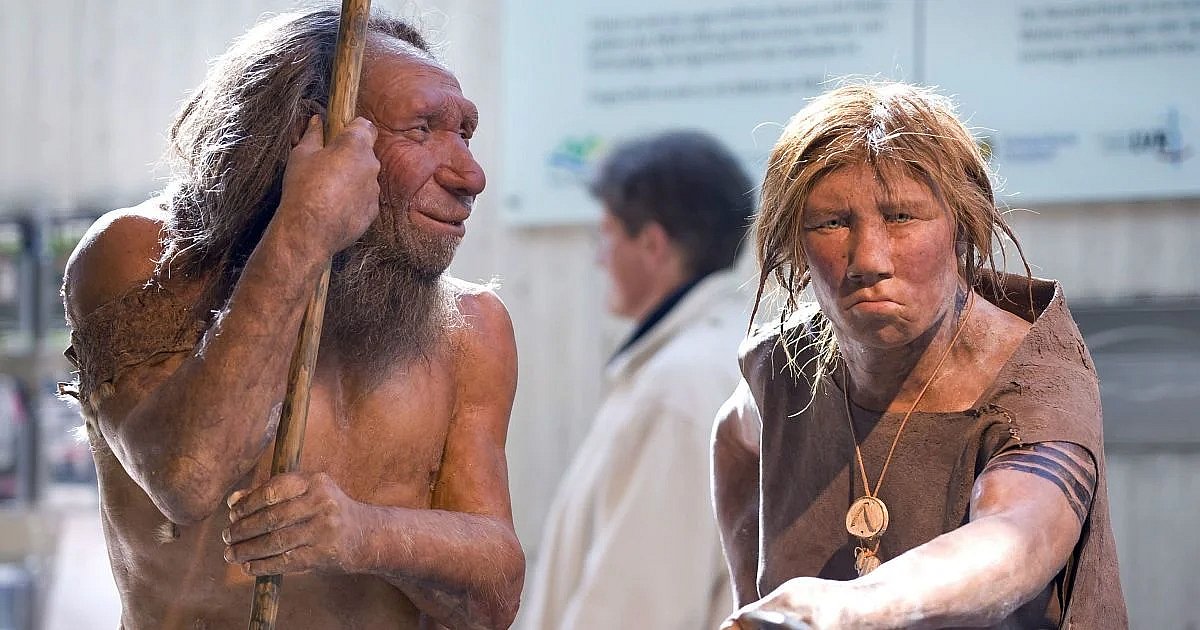 У людей есть до 4% ДНК неандертальцев, - исследование У людей есть до 4% ДНК неандертальцев, - исследование