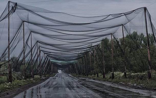 В Украине обустроили более 800 км антидроновой защиты логистических маршрутов В Украине обустроили более 800 км антидроновой защиты логистических маршрутов