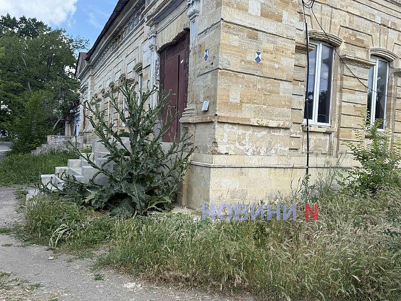 Центр Николаева зарос кустами чертополоха высотою свыше двух метров Центр Николаева зарос кустами чертополоха высотою свыше двух метров