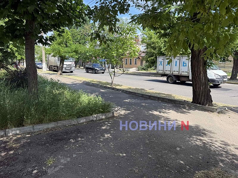 Центр Николаева зарос кустами чертополоха высотою свыше двух метров Центр Николаева зарос кустами чертополоха высотою свыше двух метров