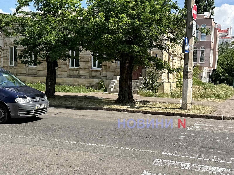 Центр Николаева зарос кустами чертополоха высотою свыше двух метров Центр Николаева зарос кустами чертополоха высотою свыше двух метров