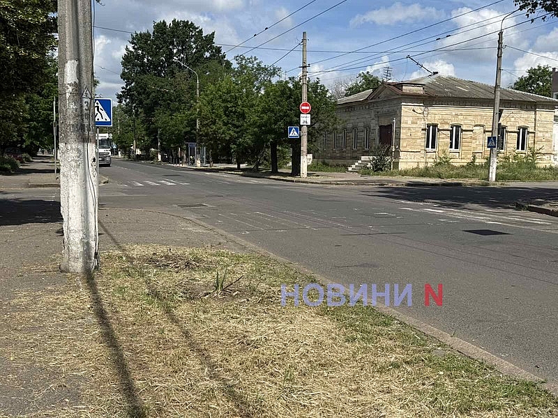 Центр Николаева зарос кустами чертополоха высотою свыше двух метров Центр Николаева зарос кустами чертополоха высотою свыше двух метров