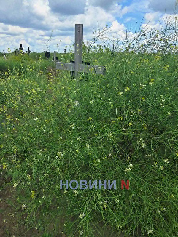 Заросло так, что крестов не видно: николаевцы пожаловались на состояние кладбища Заросло так, что крестов не видно: николаевцы пожаловались на состояние кладбища