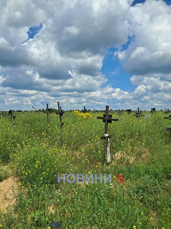 Заросло так, что крестов не видно: николаевцы пожаловались на состояние кладбища Заросло так, что крестов не видно: николаевцы пожаловались на состояние кладбища