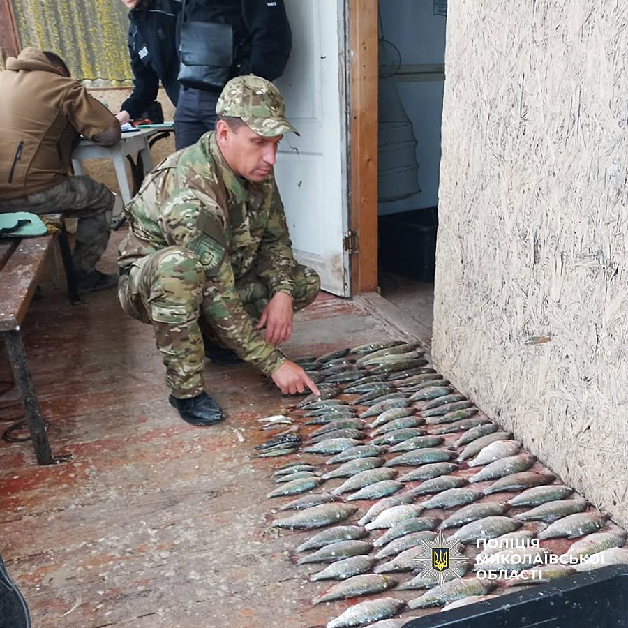 На Николаевщине браконьер наловил рыбы на более чем 218 тысяч гривен На Николаевщине браконьер наловил рыбы на более чем 218 тысяч гривен