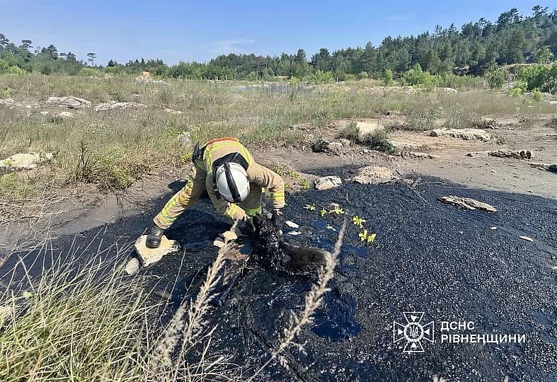 На Рівненщині співробітники ДСНС врятували знесиленого песика зі смоляної пастки На Рівненщині співробітники ДСНС врятували знесиленого песика зі смоляної пастки