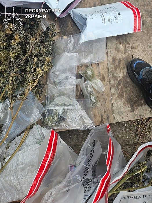 В Николаевской области будут судить мужчину, который хранил более 7 килограмм каннабиса В Николаевской области будут судить мужчину, который хранил более 7 килограмм каннабиса