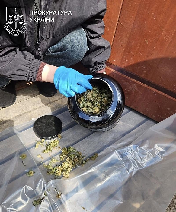В Николаевской области будут судить мужчину, который хранил более 7 килограмм каннабиса В Николаевской области будут судить мужчину, который хранил более 7 килограмм каннабиса