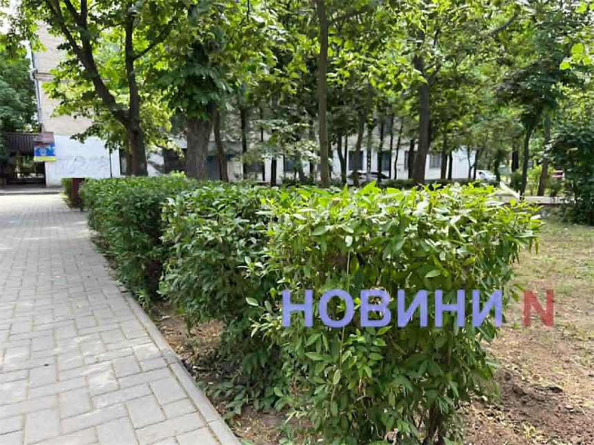 В Николаеве сквер имени Александрова так и не стал «самшитовым раем» после реконструкции за 2,9 миллиона В Николаеве сквер имени Александрова так и не стал «самшитовым раем» после реконструкции стоимостью 2,9 миллиона