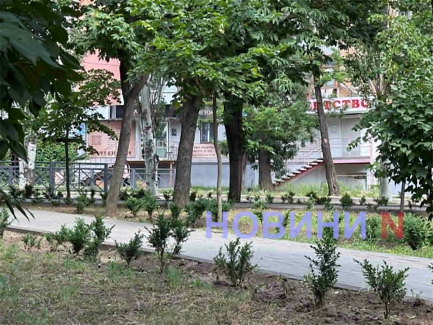В Николаеве сквер имени Александрова так и не стал «самшитовым раем» после реконструкции за 2,9 миллиона В Николаеве сквер имени Александрова так и не стал «самшитовым раем» после реконструкции стоимостью 2,9 миллиона
