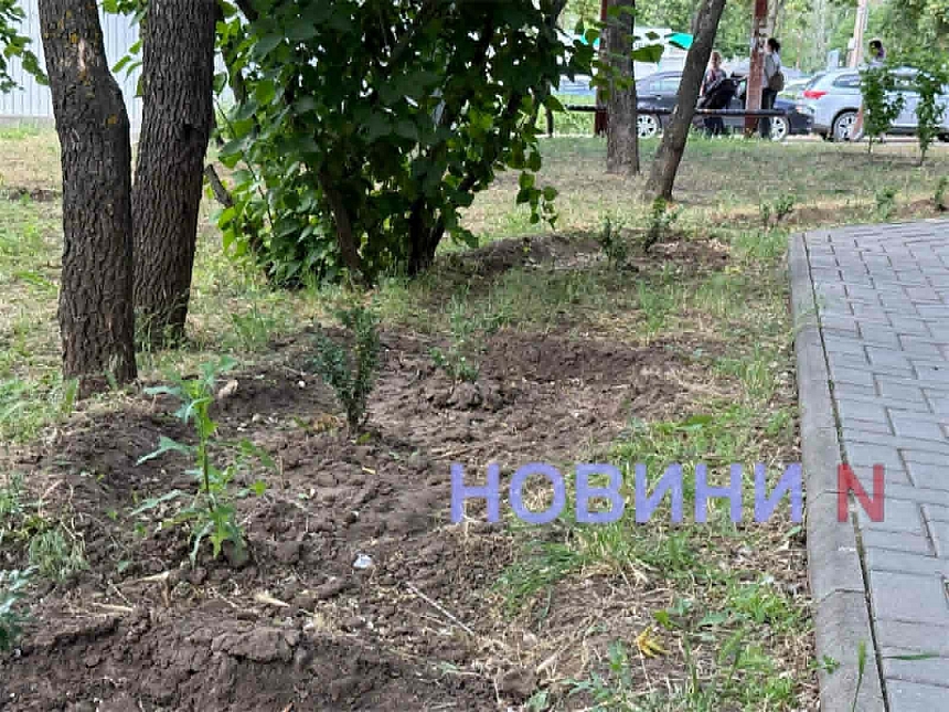 В Николаеве сквер имени Александрова так и не стал «самшитовым раем» после реконструкции за 2,9 миллиона В Николаеве сквер имени Александрова так и не стал «самшитовым раем» после реконструкции стоимостью 2,9 миллиона