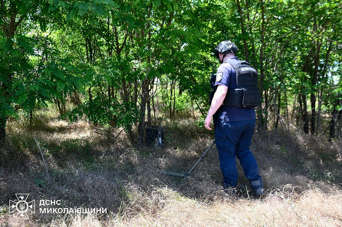 В лесополосе на Николаевщине обнаружили артиллерийские снаряды В лесополосе на Николаевщине обнаружили артиллерийские снаряды