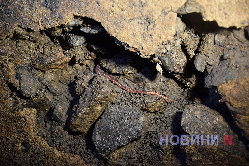 Стан відомого колектору на “Дормашині” в Миколаєві: журналісти пройшлися об’єктом разом із мером (репортаж) Стан відомого колектору на “Дормашині” в Миколаєві: журналісти пройшлися об’єктом разом із мером (репортаж)