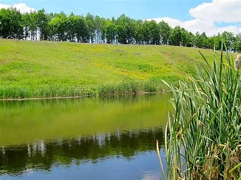Фото ілюстраційне Фото ілюстраційне
