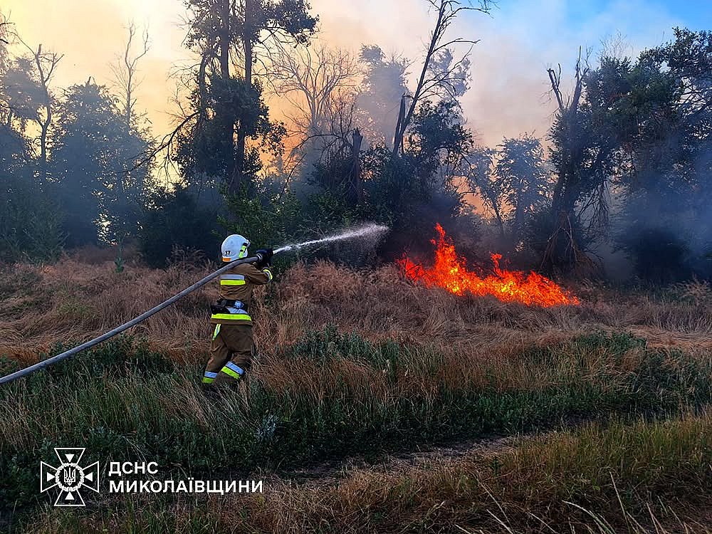 На Николаевщине за сутки произошло 53 пожара: огонь уничтожил более 74 гектаров урожая (видео) На Николаевщине за сутки произошло 53 пожара: огонь уничтожил более 74 гектаров урожая (видео)