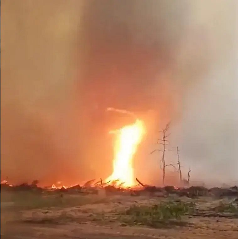 В Чернобыльской зоне возник огненный смерч (видео) В Чернобыльской зоне возник огненный смерч (видео)