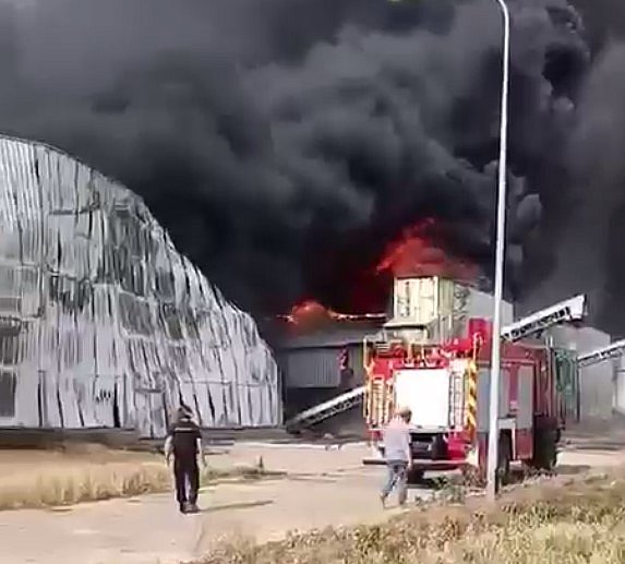 Крупнейшая в Европе птицефабрика атакована в Херсонской области (видео) Крупнейшая в Европе птицефабрика атакована в Херсонской области (видео)