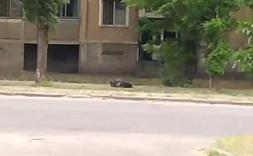 Враг атаковал Николаев «шахедом»: Ким сообщил о последствиях Враг атаковал Николаев «шахедом»: Ким сообщил о последствиях