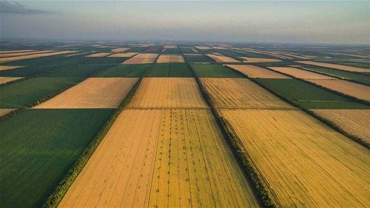 Жителя Веселиного будут судить за самовольное занятие 7,8 га земли Жителя Веселиного будут судить за самовольное занятие 7,8 га земли